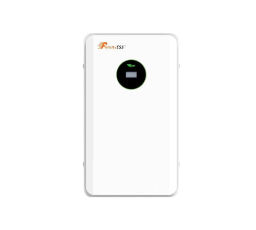 Акумуляторна батарея LUX-E-48100LG03 Felicity