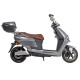Електроскутер Maxxter LUMINA Silver